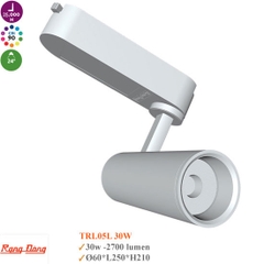 Đèn Led Ray Rọi Rạng Đông TRL05 30W
