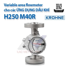 H250 M40R Variable area flowmeter for oil and gas applications