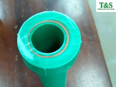Mối hàn đạt: ống và phụ kiện PPr đồng nhất (cắt ngang mối hàn)