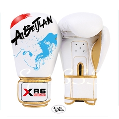 Găng tay Boxing - Võ thuật - Đấm bốc ABJ - Trẻ Em cao cấp nhiều phiên bản