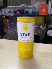 Trà KOMBUCHA Bổ sung lợi khuẩn- Men vi sinh 250ml