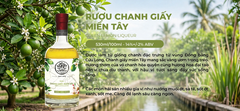 Rượu Chanh Giấy Miền Tây MẦM Craft Distillery 530ml 14% - Chanh Giấy Đồng Bằng Sông Cửu Long