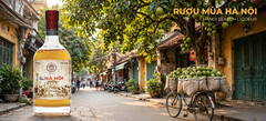 Rượu Mùa Hà Nội 19% 530ml - Hanoi Season Liqueur - Rượu Sấu Hà Nội Ngâm Gừng Thủ Công - Quà Biếu Hà Nội