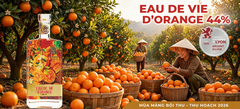 Rượu Cam Eau De Vie D'Orange 44% 530ML - Huy Chương Bạc Lyon 2026 - Cam Tươi