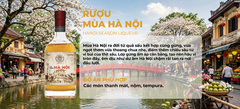 Rượu Mùa Hà Nội 19% 530ml - Hanoi Season Liqueur - Rượu Sấu Hà Nội Ngâm Gừng Thủ Công - Quà Biếu Hà Nội