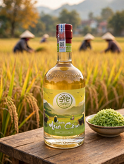 Rượu Mùa Cốm MẦM Craft Distillery 530ml 25% Vol - Mua Com Liqueur - Rượu Cốm Hà Nội - Rượu Trái Cây Thủ Công