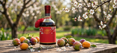 Rượu Xí Muội Spiced Apricot Liqueur 530ml - Rượu Mơ Ô Mai Atiso Ngâm Thủ Công - Quà Biếu Tết