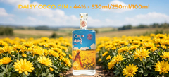 Rượu Daisy Coco Gin 44% 530ML - Gin Hoa Cúc Chi Đà Lạt - Craft Gin Thủ Công