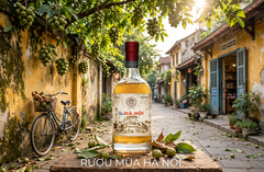Rượu Mùa Hà Nội 19% 530ml - Hanoi Season Liqueur - Rượu Sấu Hà Nội Ngâm Gừng Thủ Công - Quà Biếu Hà Nội