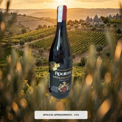 Rượu Vang Đỏ Ý Apulese Appassimento Puglia IGT 750ml - 15% - Casa Girelli