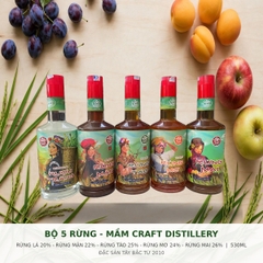 Rượu Rừng 530ml - Mầm Craft Distillery 20%-26% Vol - Rượu Đặc Sản Tây Bắc - Rượu Mận Rừng, Táo Mèo, Mơ Rừng, Mai Vàng, Rượu Trắng Gạo Nếp - 5 Vị