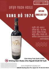 Vang Đỏ Chile 1974 13.5% 750ml
