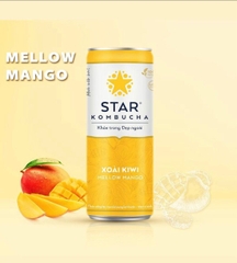 Trà KOMBUCHA Bổ sung lợi khuẩn- Men vi sinh 250ml