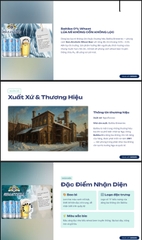 Thùng x 24 Lon Bia Không Cồn Baltika 0 Pshenichnoe - Bia Lúa Mì Nga Lon 450ml