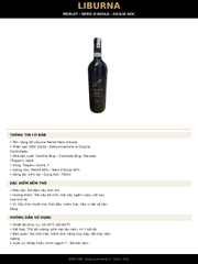 Rượu Vang Đỏ Ý Liburna Merlot Nero d'Avola Sicilia DOC 14% 750ml