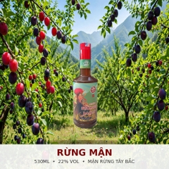 Rượu Rừng 530ml - Mầm Craft Distillery 20%-26% Vol - Rượu Đặc Sản Tây Bắc - Rượu Mận Rừng, Táo Mèo, Mơ Rừng, Mai Vàng, Rượu Trắng Gạo Nếp - 5 Vị