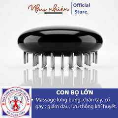 CON BỌ LỚN