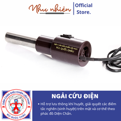 Ngải Cứu Điện