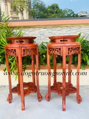 ĐÔN TRÒN PHƯỢNG . MSP : ĐTP5678