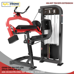 HB-007 -Triceps stretch