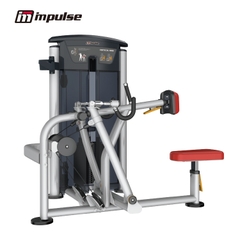 IT9519 - VERTICAL ROW (200LBS)