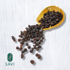 Hạt Dổi Già (11g)