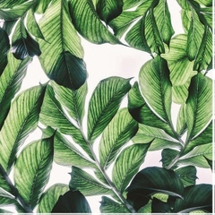 Giấy scrapbook - HAVANA NIGHTS - LUSH