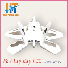 Kit Máy bay điều khiển F22 EPO F-22 Raptor