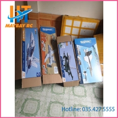 Máy Bay Điều Khiển F18 Super Hornet Freewing 64mm