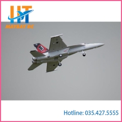 Máy Bay Điều Khiển F18 Super Hornet Freewing 64mm