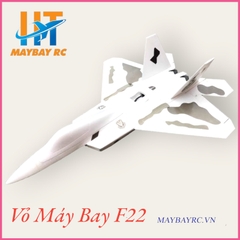 Kit Máy bay điều khiển F22 EPO F-22 Raptor