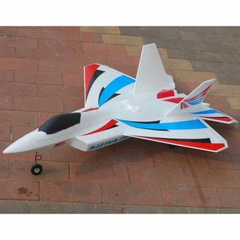 Kit Máy bay điều khiển F22 EPO F-22 Raptor