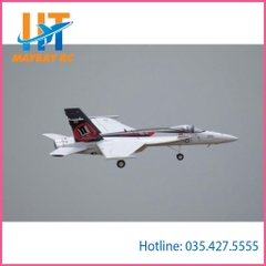 Máy Bay Điều Khiển F18 Super Hornet Freewing 64mm