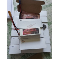PIN CNHL G+PLUS 5000MAH 3S 4S 6S 70C LIPO BATTERY