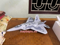 Máy bay điều khiển F22 freewing Fan 64mm