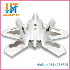 Kit Máy bay điều khiển F22 EPO F-22 Raptor