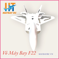 Kit Máy bay điều khiển F22 EPO F-22 Raptor