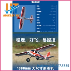 Máy bay điều khiển Bigfoot Arrow sải cánh 1300mm Gyro
