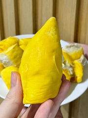 Sầu Riêng Hữu Cơ