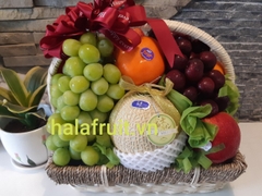 Giỏ trái cây 700k mã HL7004