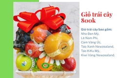 Giỏ trái cây 800k mã HL8001