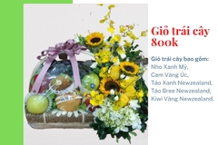 Giỏ trái cây 800k mã HL8001