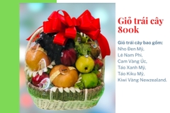 Giỏ trái cây 800k mã HL8004