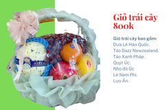 Giỏ trái cây 800k mã HL8005