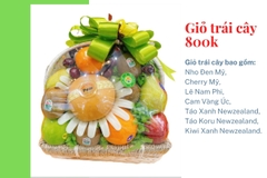 Giỏ trái cây 800k mã HL8005