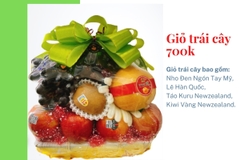 Giỏ trái cây 700k mã HL7004