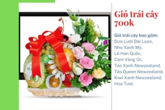 Giỏ trái cây 700k mã HL7004