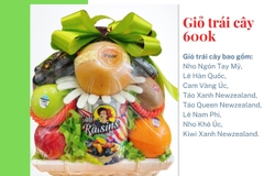 Giỏ trái cây 600k mã HL6001