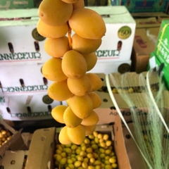 Chà là tươi nguyên cành