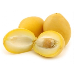 Chà là tươi nguyên cành